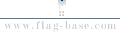 FLAG-BASE